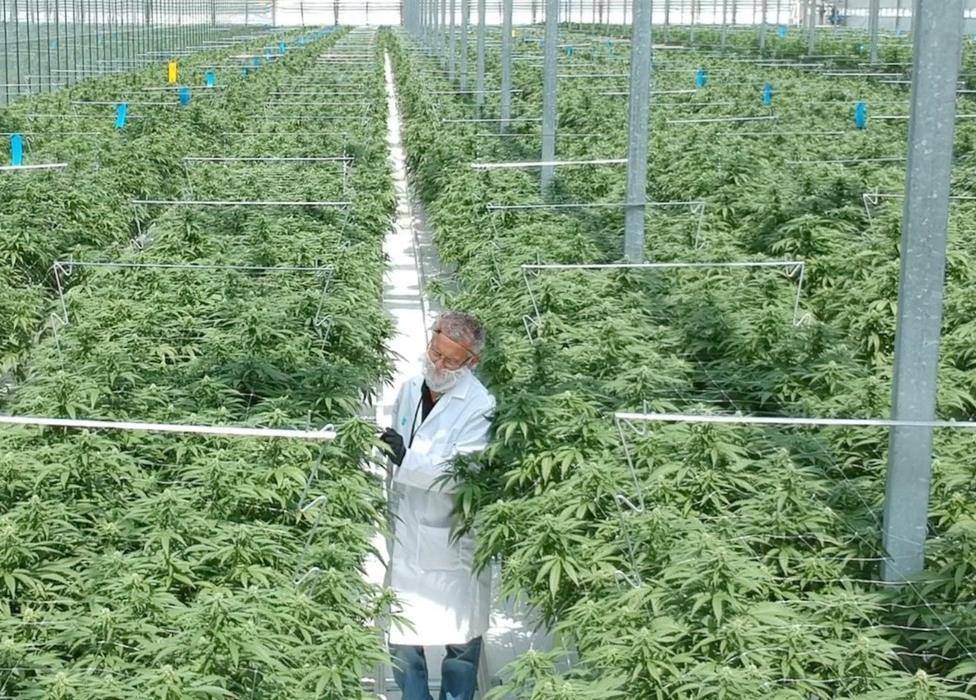 GOAL: Be the Low-Cost, High-Quality Cannabis Producer in Canada 14 Ingrained culture of high-quality, low-cost production built over decades Greenhouse growing provides significant capital and