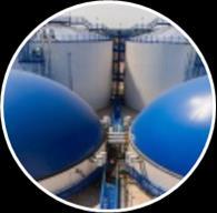 References in Ukraine Biogas Bioethanol WOOD