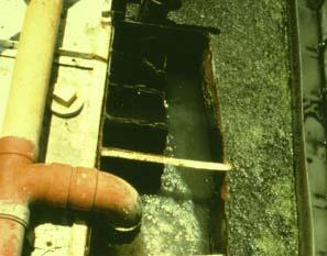 Corrosion above the water level sulfuric acid attack Concrete