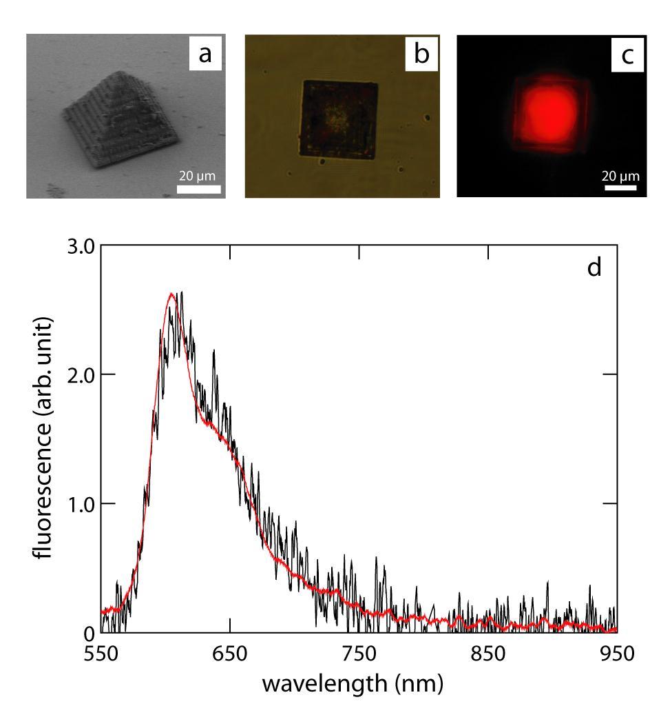 microstructure containing MEH-PPV (a) Scanning electron microscopy (b,c) Fluorescence microscopy of the microstructure with the