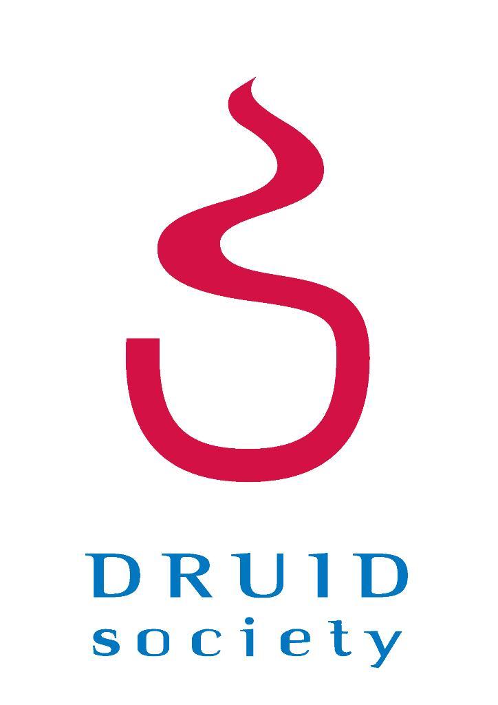 Paper to be presented at the DRUID Academy 2012 on January 19-21 at Unversty of Cambrdge /The Moeller Centre The determnants of eco nnovatve performance accordng to frms' strategc profles : The case
