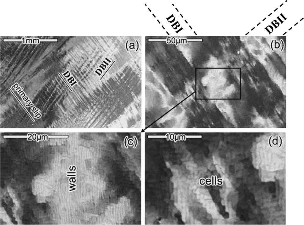 890 W.-W. Guo, X.-M. Wang and X.-W. Li Fig. 5 Deformation bands and their dislocation structures in the [017] crystal cyclically deformed at pl ¼ 6:5 10 3.