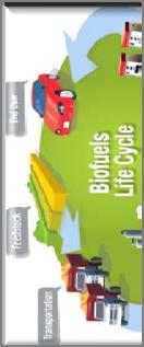 Biofuels from Biomass: LCA