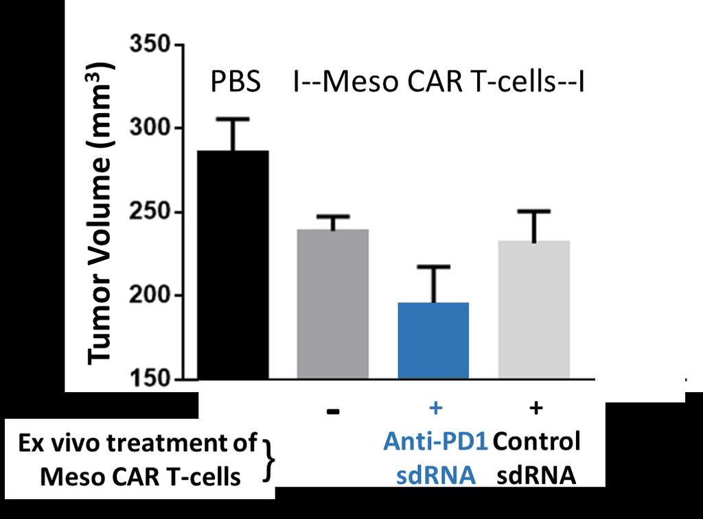 Silencing by : Long-Term Effect in vivo Reduced in vivo Tumor Growth Using CAR T-cells Treated ex vivo with PD1 targeting Meso CAR T-cells 1 : T-cells engineered to target mesothelin, overexpressed