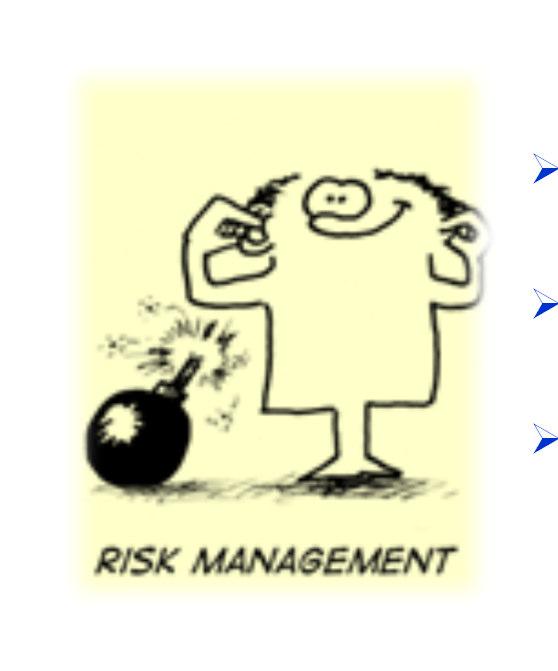 Controls: first control line: Management (risk owner), responsible for verifying and mitigating risks, monitors controls on the ongoing activities second control line: Risk Management Office, whose