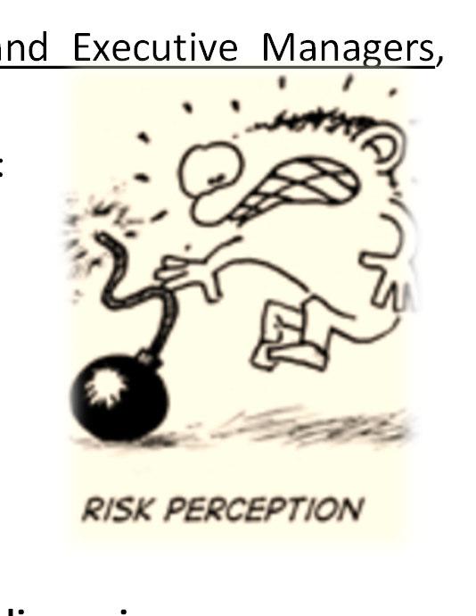 Identification and classification of risk factors; 4. "Cataloging" risks investigating four dimensions: I. therisk perception compared to the activities of each manager; II.