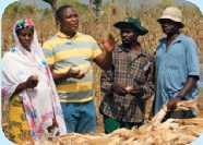Training & Extension Good agricultural practices