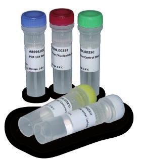 Ready-to-use master mix, liquid Included -20 C A3744,0020 d 20 tests PCR Mycoplasma Test Kit