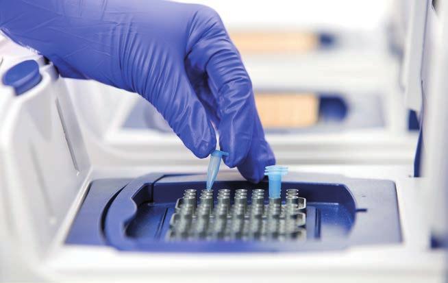 Non-specific or false-negative PCR results are a serious challenge and might be caused due to a defective heating element of the PCR cycler.