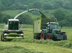 Mainly used co-substrates are grass or maize silage Grass silage TS% VS% m3 CH4 / t m3 CH4 / t VS 1 17.12 96.01 9.