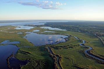 wetlands In some areas, FMAs are over 50% wetlands At