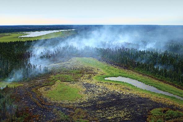 Fire and climate resiliency Peatlands tend to be more resilient to changes in climate (Johnston et al. 2010) Wetland feedback mechanisms promote water retention and stability (Waddington et al.