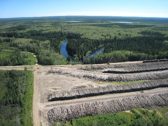 Conservation of Boreal Wetlands: Policy Considerations &