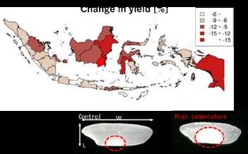 provinces Various scenario for adaptation