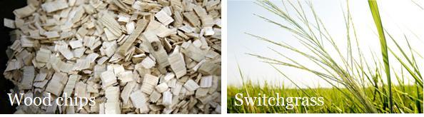 Advantages compared to other types of biomass: Wide range