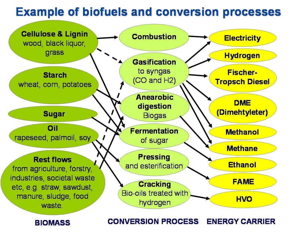 ) which can be converted into value added products such as biofuels and bio chemicals.