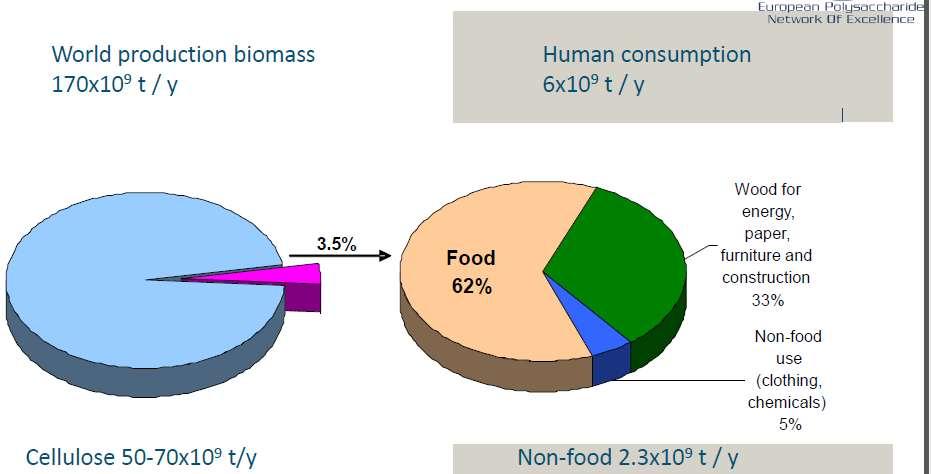 The World Food and Feed concern Source: Food& Biobased Research,