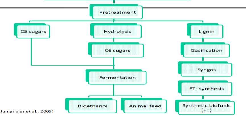 Biomass feedstock Figure 14.