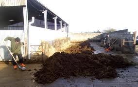 Project Photos Manure happens, and my job is to get rid of it.