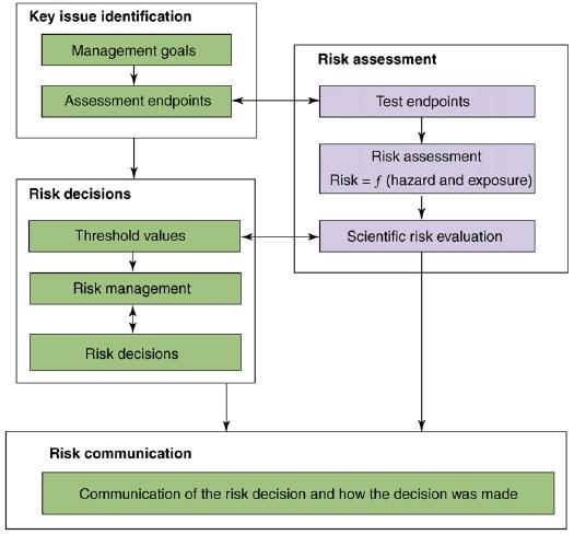 RISK ANALYSIS TO ASSIST DECISION MAKING Stages of risk analysis: Key issue identification, risk assessment, risk decision-making and risk communication.