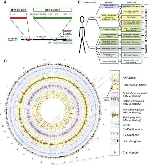 Proteomic and transcriptomic biomarkers are influenced by POP (Personal Omics Profiling) -extensive
