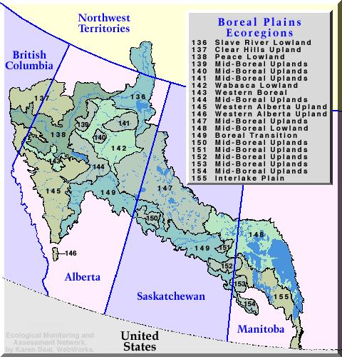 Study Locations - Boreal Plains Ecozone Fire origin, white spruce-aspen stands, on upland mesic sites with clay-loam soils.
