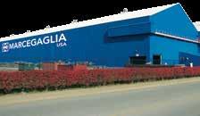 Marcegaglia Specialties Worldwide presence Stainless steel