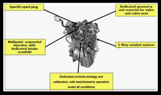 The full OEM technology for NG engines / vehicles Proprietary