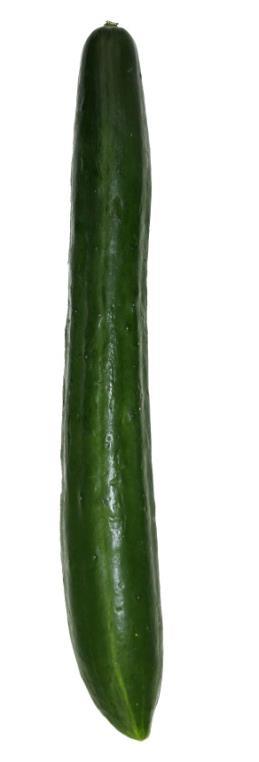 TAS 1519-2017 8 a1.3) Japanese cucumbers Figure A.