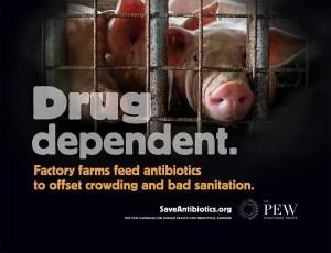 Growing Consensus to Ban Antibiotics