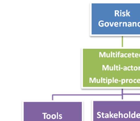 Risk Governance Translation