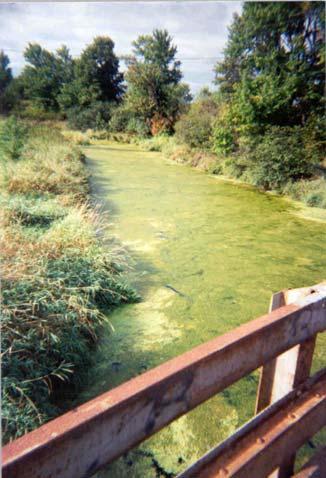 Impaired Waterways in Wisconsin Phosphorus Nutrient found in