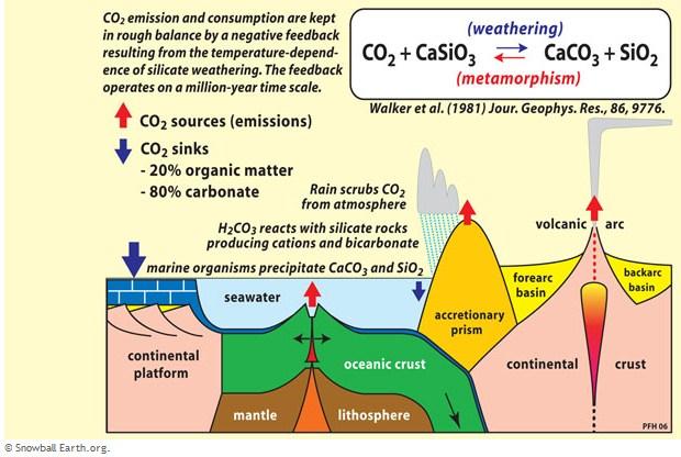 The Carbon-Silicate Cycle Carbon