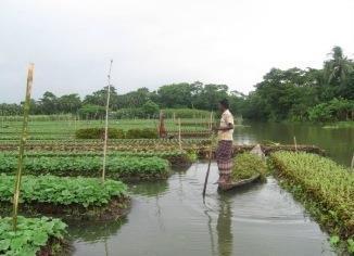 Case 1: Floating Garden in Bangladesh Use invasive plants and other