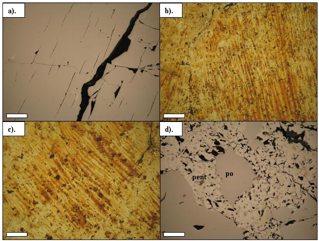 Chapter 4: Pyrrhotite Mineralogy Figure 4.8: Photomicrographs of Sudbury Gertrude West pyrrhotite shown in RPL. (a) Parting developed in coarse-grained pyrrhotite.
