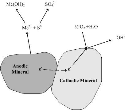 Chapter 2: Literature Review Figure 2.16: Schematic of the galvanic interaction between pyrrhotite (anode) and a more noble sulfide mineral such as pyrite or pentlandite (cathode).