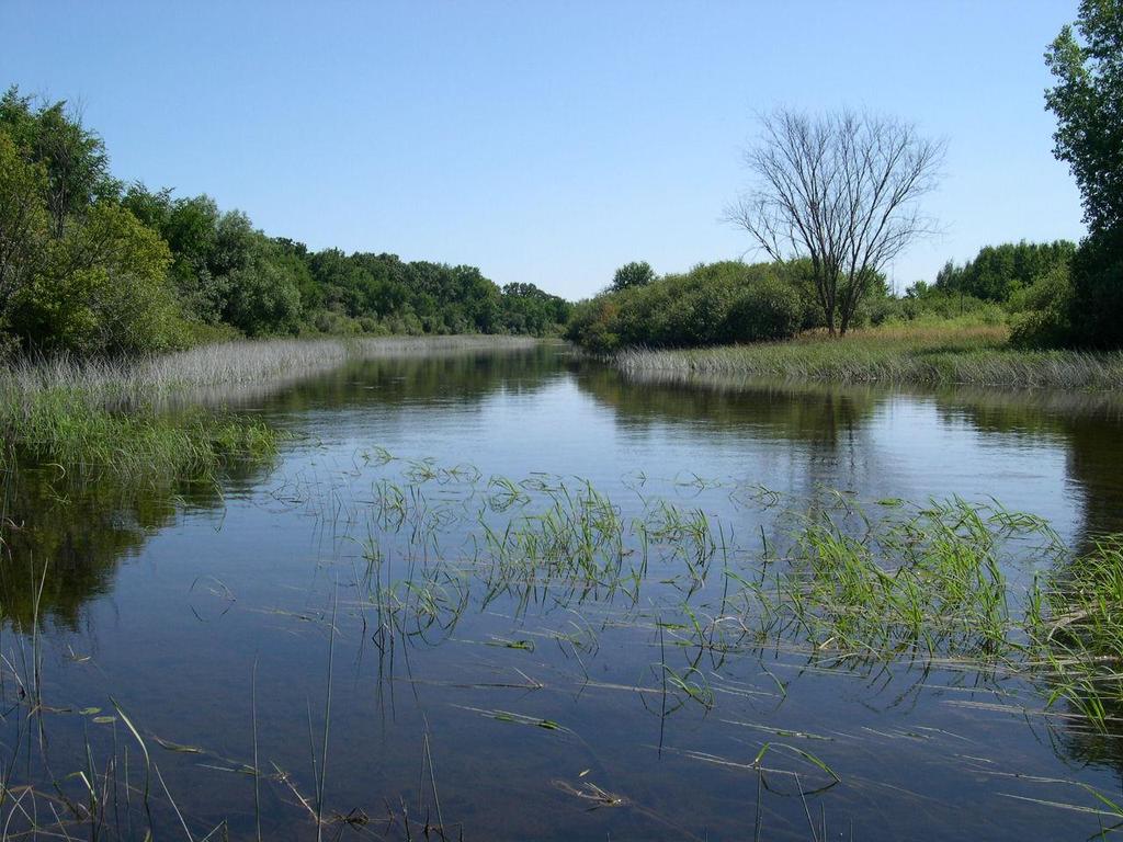 Mukwonago River Watershed Protection Plan Recommendations & Implementation Update Friends of Mukwonago River March 16,