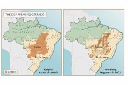 Example of the Cerrado Region of Brazil Biodiversity hotspot: ~ 10000
