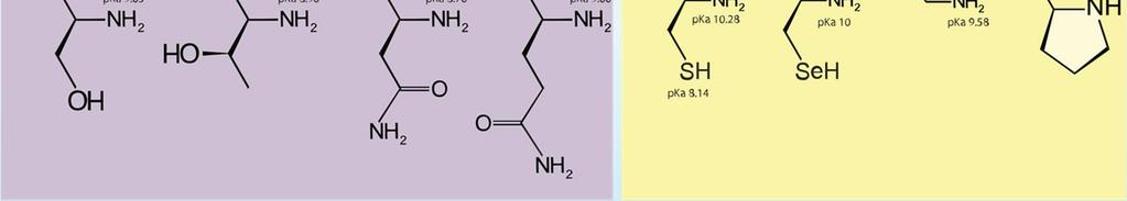 svg/2000px-amino_acids.svg.png Figure taken from http://upload.