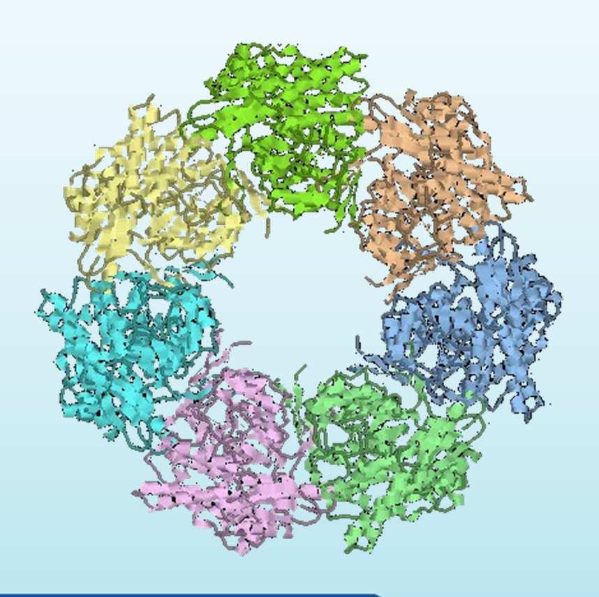 cofactor oloenzyme: complete enzyme Protein Modifications Disulfide bond