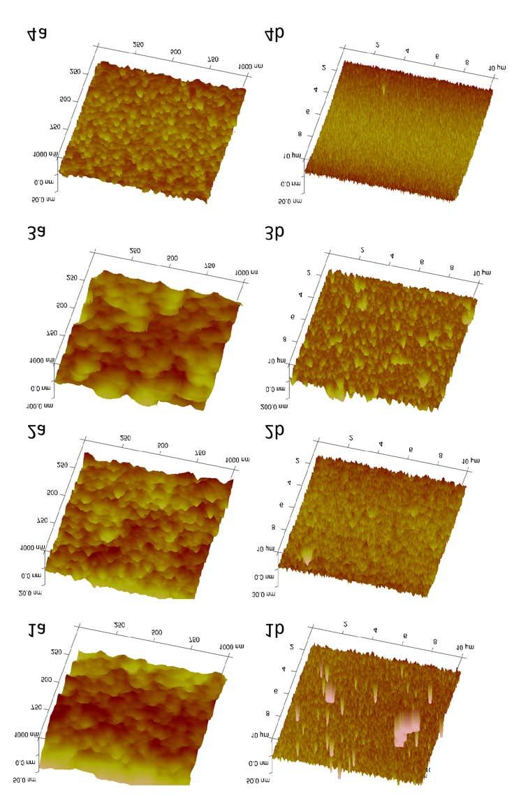 Figure 17. AFM pictures of protein multilayers constructed under optimal incubation conditions.
