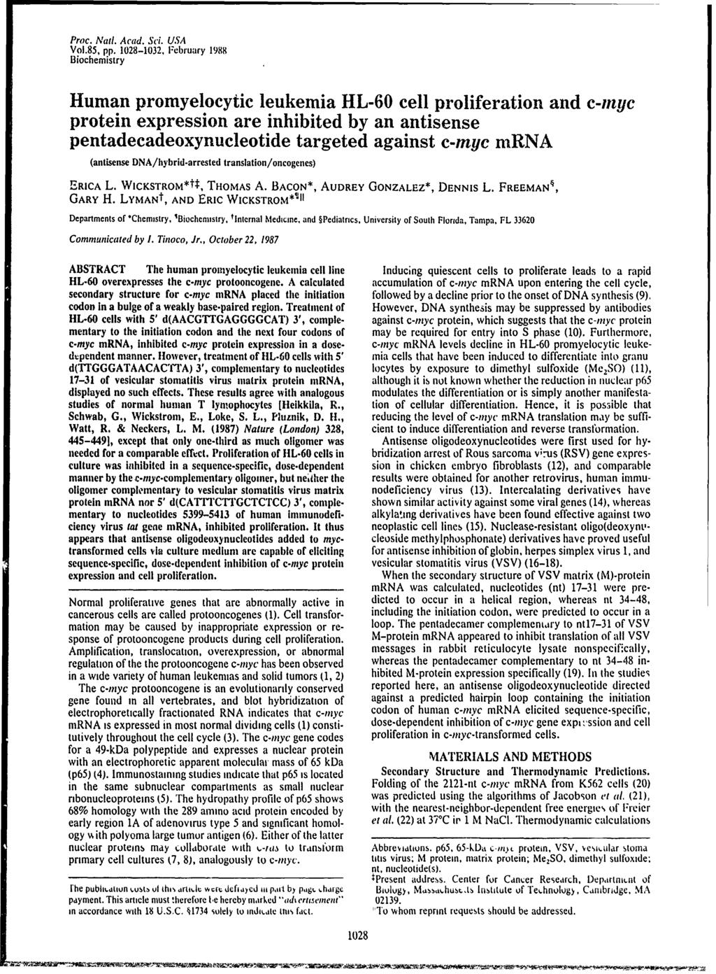 Proc. Natl. Acad. Sci. USA Vol.85, pp.