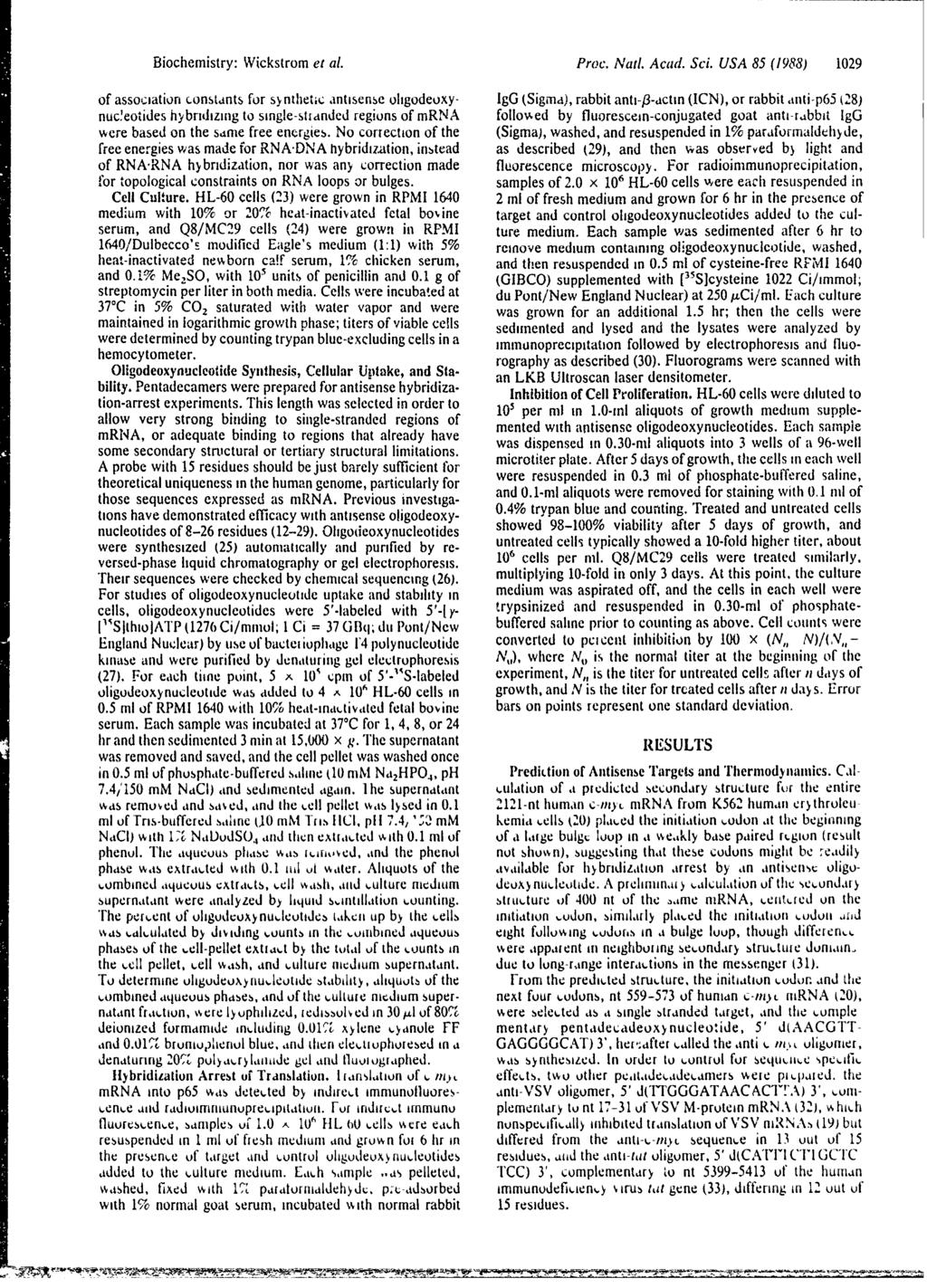 Biochemistry: Wickstrom et al. Proc. Natl. Acad. Sci.