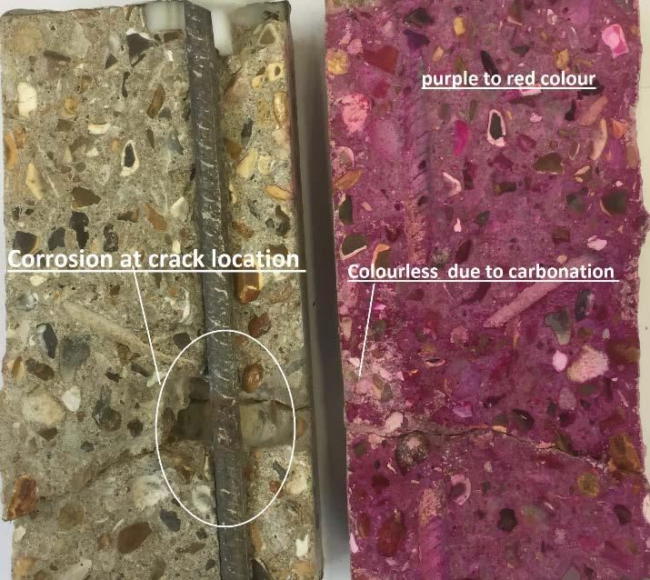 Fig.9. Effect of crack on diffusion of CO2 and reduction in PH level in concrete Finally, Fig. illustrates the corrosion of rebars focused at the crack location.