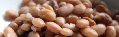 TRAINING WHITE DRY BEAN MARKET CONTRACT DEAL AGRICULTURAL COMMODITY