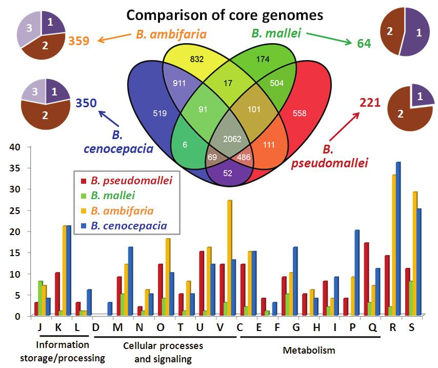 Figure 3.5. Comparative pangenome analyses. The Venn diagram displays the comparison of species core genomes.