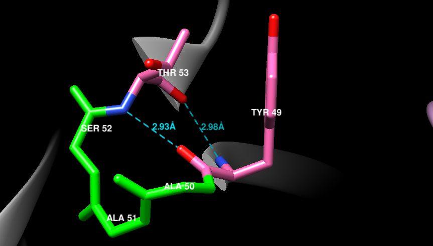 IgG structural analysis: CDR L2