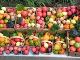 do not favor large quantities each week - members sometimes drop out of CSAs because they feel overwhelmed by the amount of vegetables Members generally prefer wide variety rather than a large