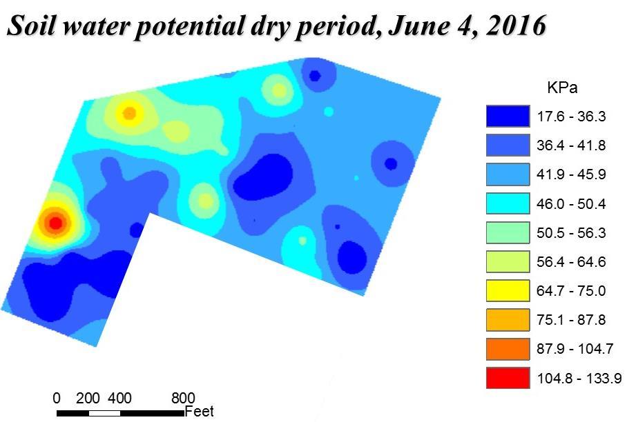 All soil moisture potential values are above field capacity in this map. Under such circumstances, any spatial differences are compensated by subsurface lateral flow.