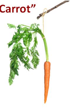 Incentives: The Carrot Achievement awards Recognition Entertainment hold events for the wellness program Time off work